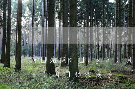 房貸逾期5個(gè)月（房貸逾期五個(gè)月銀行收房子）