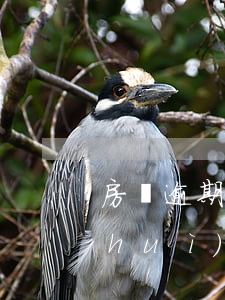 房貸逾期5天有什么影響(房貸逾期幾天會(huì)有什么后果)