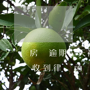 房貸逾期5天被發(fā)律師函(房貸逾期收到律師函)