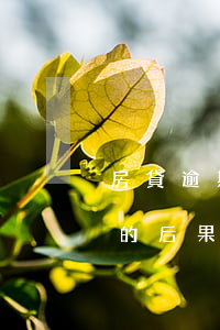 房貸逾期5天還能貸款嗎(房貸逾期還款5天的后果)