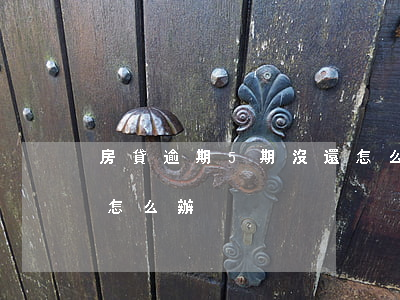 房貸逾期5期沒還怎么辦(貸款逾期五天還款怎么辦)
