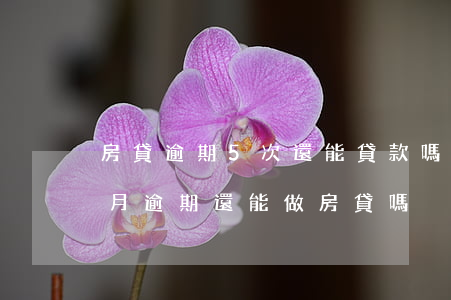 房貸逾期5次還能貸款嗎(連續(xù)五個月逾期還能做房貸嗎)