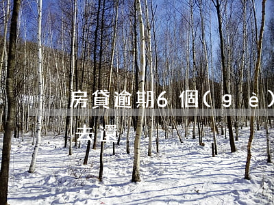 房貸逾期6個(gè)月現(xiàn)在去還