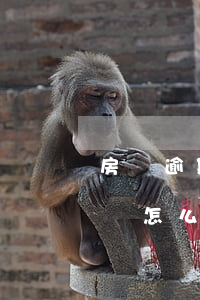 房貸逾期6個月(房貸逾期6個月后還清被起訴怎么辦律師說銀行不撤訴)