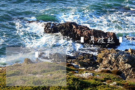 房貸逾期6個月被起訴了怎么辦(房貸逾期六個月)