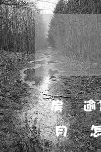 房貸逾期8個月被起訴怎么辦(房貸逾期8個月會怎么樣)