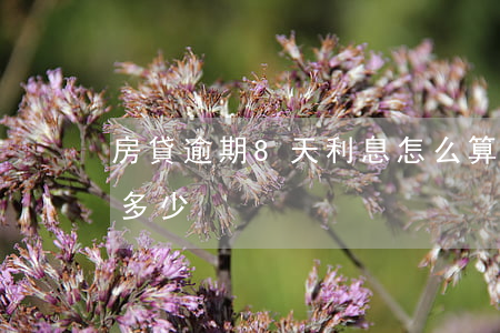 房貸逾期8天利息怎么算(房貸逾期十天罰息多少)