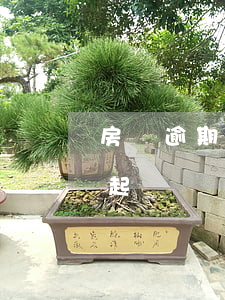 房貸逾期90天以上（房貸逾期未超過90天起訴）