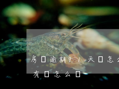 房貸逾期91天該怎么辦(房貸超過90天沒有還怎么辦)