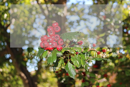 房貸逾期一了有什么影響(房貸逾期一期會影響貸款嗎)
