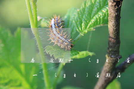 房貸逾期一個(gè)星期后還款(房貸逾期一個(gè)星期后還款)
