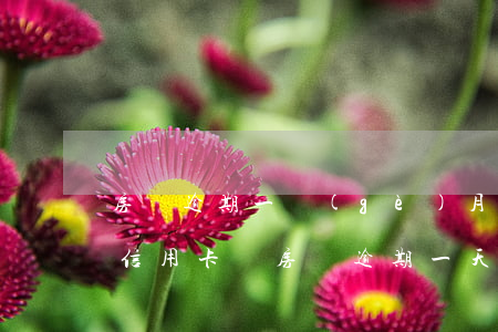 房貸逾期一個(gè)月會(huì)影響信用卡嗎(房貸逾期一天會(huì)影響信用嗎)