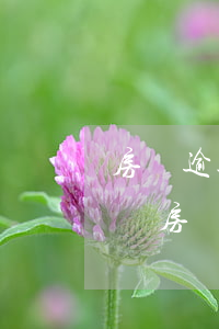 房貸逾期一個(gè)月會(huì)通知嗎(房貸逾期一個(gè)月會(huì)通知嗎)