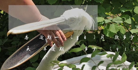 房貸逾期一個(gè)月罰款多少(房貸晚一天還算逾期嗎,罰多少錢(qián))