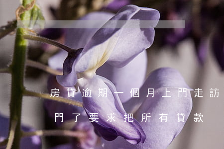 房貸逾期一個月上門走訪(房貸逾期一個月上門了要求把所有貸款)