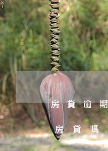 房貸逾期一個月會疊加嗎(有一個月逾期影響房貸嗎)