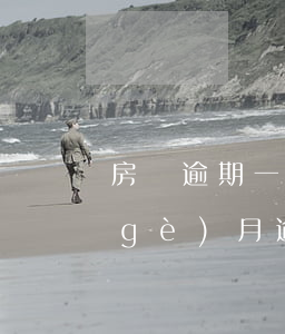 房貸逾期一天2次(房貸連續(xù)兩個(gè)月逾期一天怎么辦)