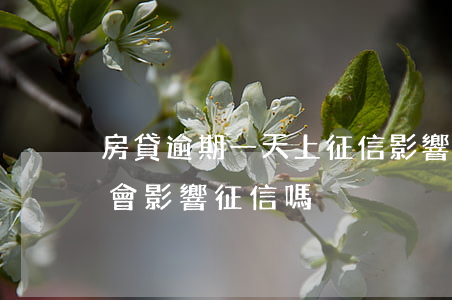 房貸逾期一天上征信影響(按揭貸款逾期一天會影響征信嗎?)