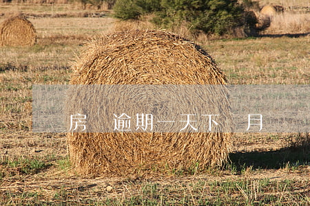 房貸逾期一天下個月時間