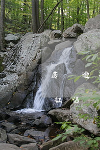 房貸逾期一天不上征信嗎(房貸逾期一天不上征信嗎)