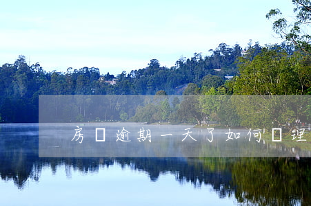 房貸逾期一天了如何處理(房貸逾期1天)