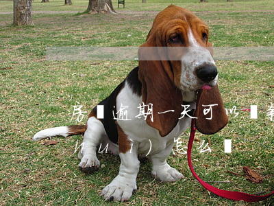 房貸逾期一天可以貸款嗎(房貸逾期1天會(huì)怎么樣)