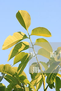 房貸逾期一天影響買車嗎(車貸晚還一天算逾期嗎?會(huì)影響買房)