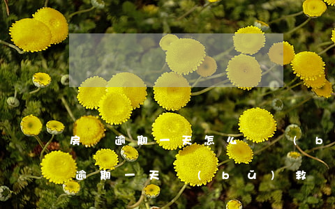 房貸逾期一天怎么辦補(bǔ)還(房貸還款逾期一天補(bǔ)救辦法)