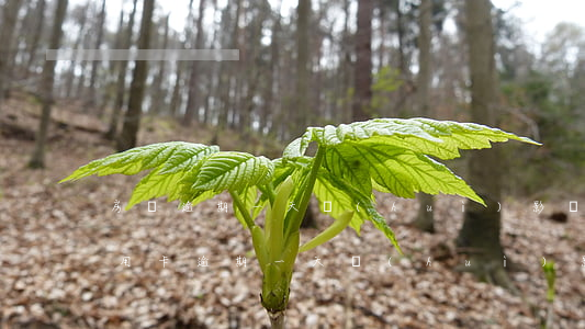 房貸逾期一天會(huì)影響信用卡嗎（信用卡逾期一天會(huì)影響貸款么）