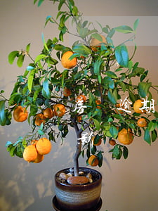 房貸逾期一天有影響嗎-房貸逾期一天有啥影響