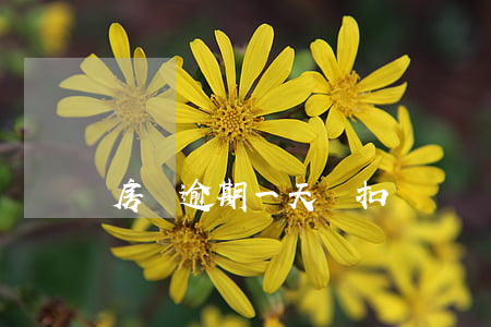 房貸逾期一天補扣