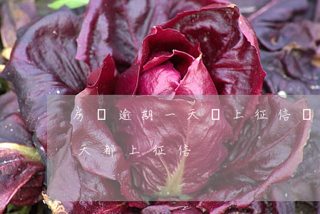 房貸逾期一天還上征信嗎(房款忘記還逾期一天都上征信)