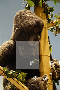 房貸逾期一定會被起訴嗎-房貸多久逾期會被起訴