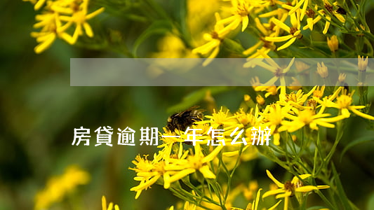 房貸逾期一年怎么辦