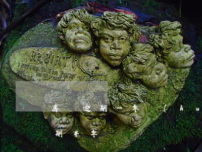 房貸逾期一年會(huì)怎么樣6(房貸逾期半年)