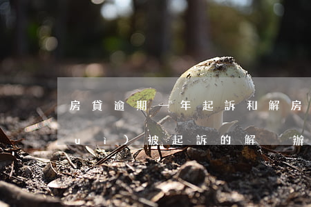 房貸逾期一年起訴和解 房貸逾期多久會(huì)被起訴的解決辦法