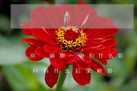 房貸逾期一期有什么影響(請問房貸逾期一個月有什么后果和影響)