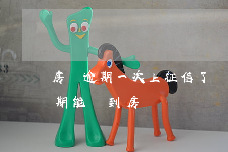 房貸逾期一次上征信了(個人征信有過一次逾期,能貸到房貸嗎)