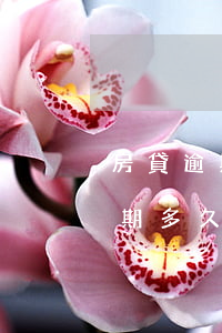 房貸逾期一次多久會(huì)消失(房貸逾期多久沒事)