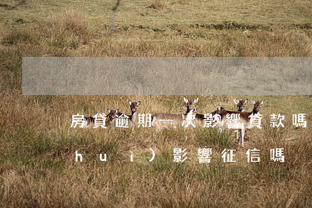 房貸逾期一次影響貸款嗎(房貸逾期一次會(huì)影響征信嗎)
