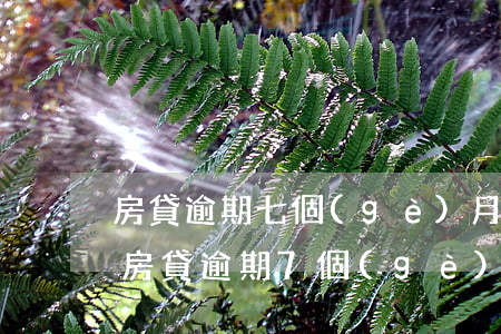 房貸逾期七個(gè)月還款有違約金嗎-房貸逾期7個(gè)月