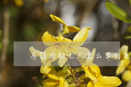 房貸逾期七天怎么算利息(房貸逾期7天)