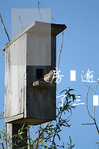 房貸逾期三個(gè)月了怎么辦(房貸逾期了三個(gè)月怎么處理)