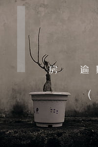 房貸逾期三個(gè)月有人上門(房貸逾期一個(gè)月上門了要求把所有貸款)
