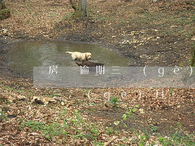 房貸逾期三個(gè)月罰息多少(房貸逾期三個(gè)月違約金是多少)