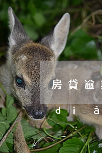 房貸逾期三個(gè)月銀行起訴怎么調(diào)解(房貸逾期三個(gè)月就起訴嗎)
