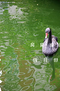 房貸逾期三個月后面每月按時還(房貸逾期3個月但是都還了有什么后果)