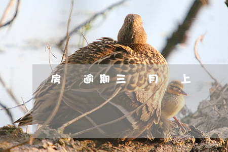 房貸逾期三個月會上門嗎(三次逾期可以辦房貸嗎)