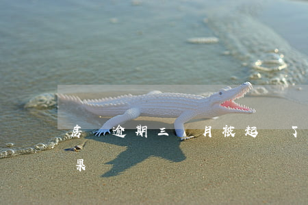 房貸逾期三個月被起訴了(房貸逾期三個月后果)