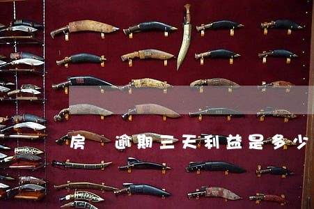 房貸逾期三天利益是多少